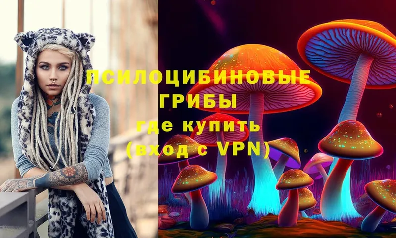 купить наркоту  Алексеевка  Галлюциногенные грибы MAGIC MUSHROOMS 